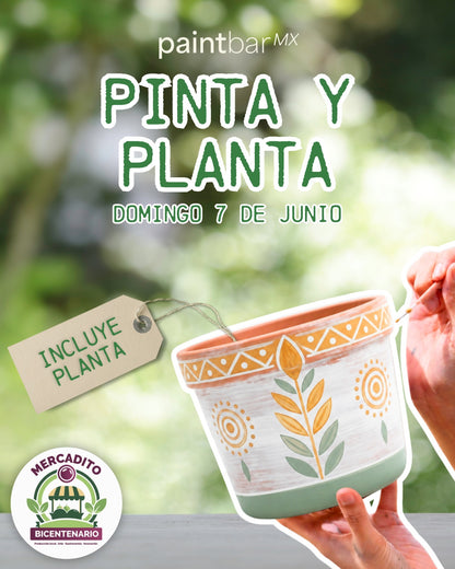 Pinta tu Maceta | Parque Bicentenario