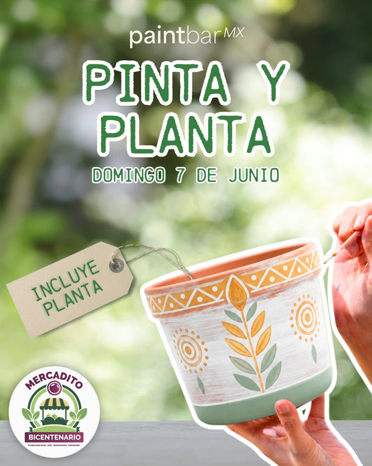Pinta tu Maceta | Parque Bicentenario
